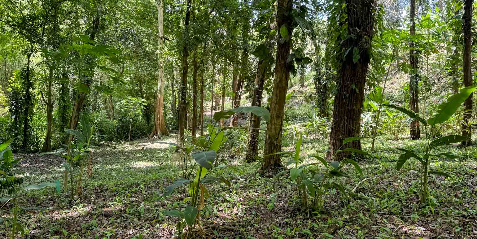 Propiedad en Oasis Sereno