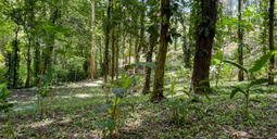 Venta