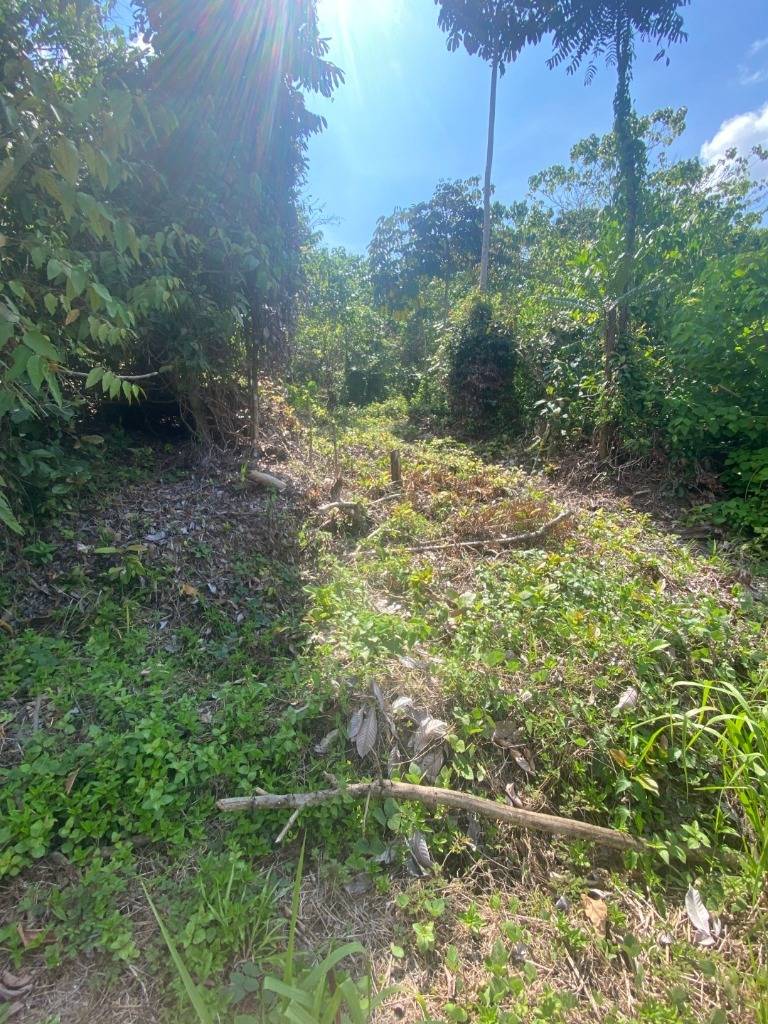 Propiedad en Ojochal