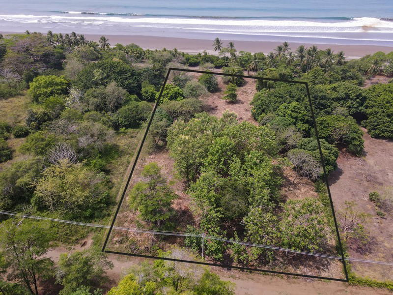 Land at Savegre