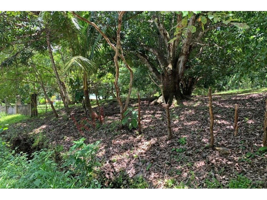 Land at Jacó