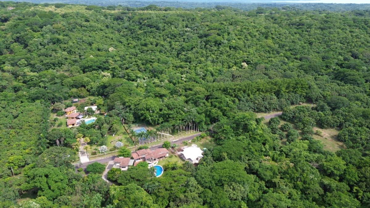 Propiedad en La Ceiba