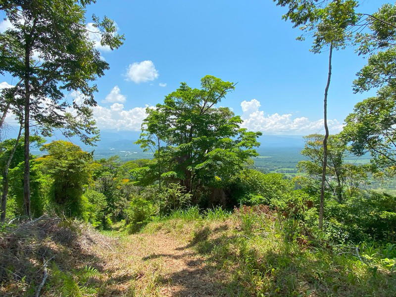 Land at Golfito