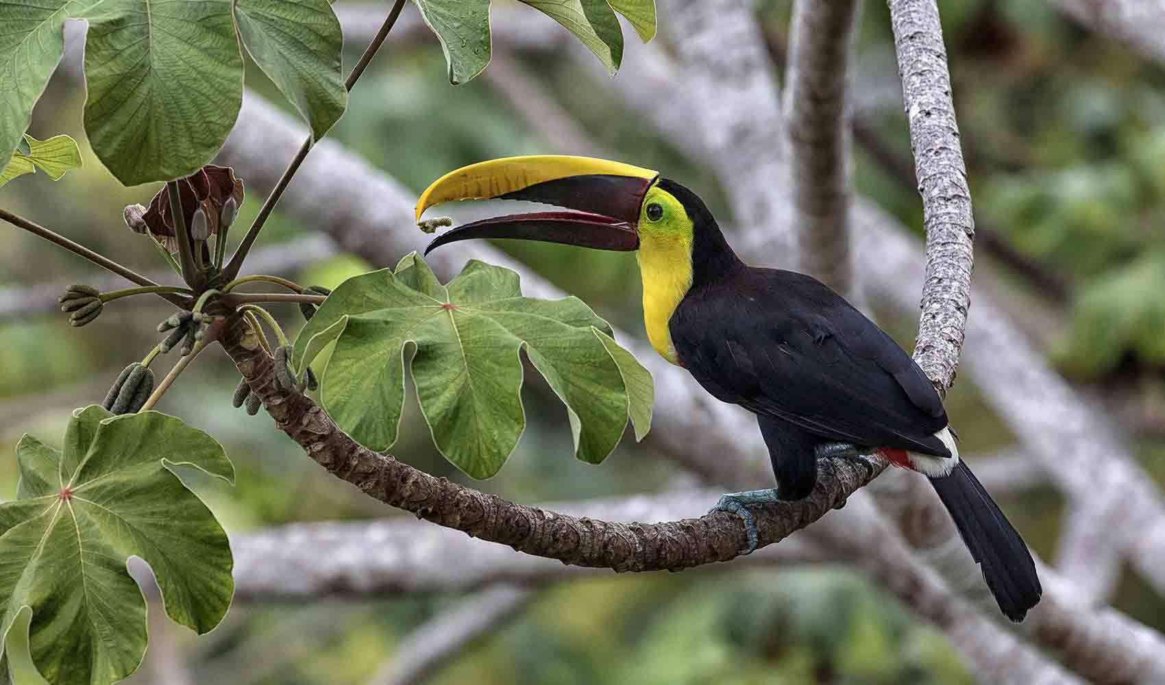 Casa en Quepos