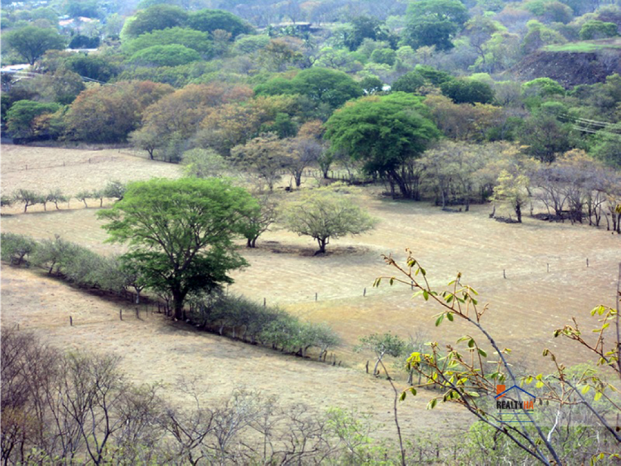 Estate at Sardinal