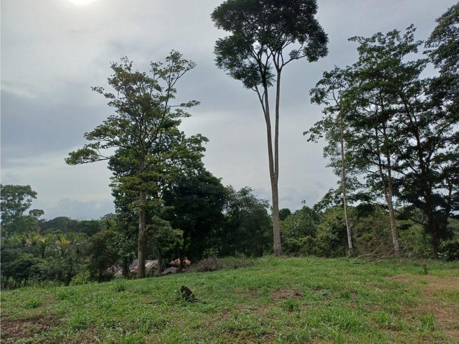Terreno en Horquetas