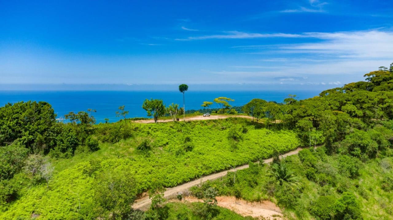 Terreno en Bahía Ballena