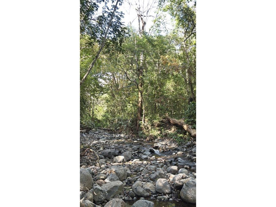 Terreno en Carara