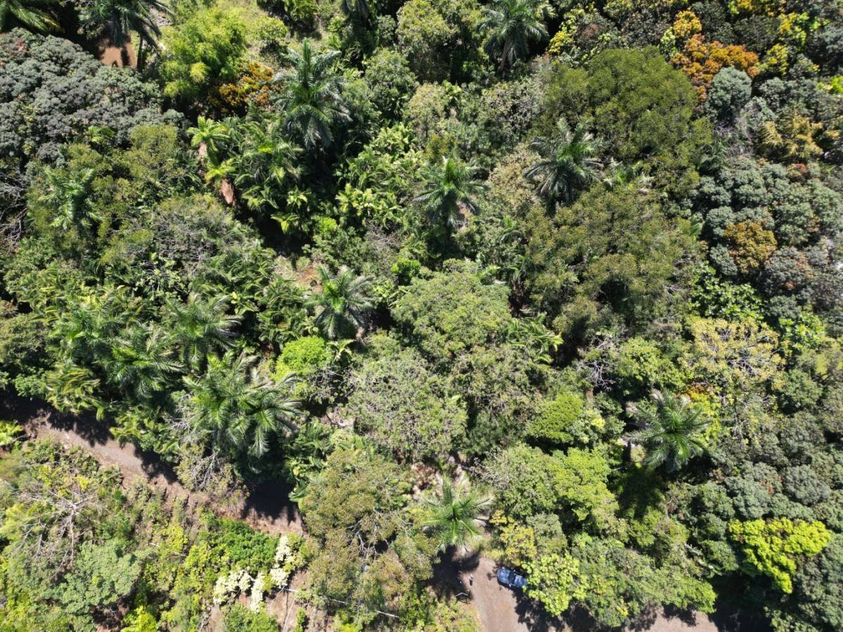 Property at La Garita