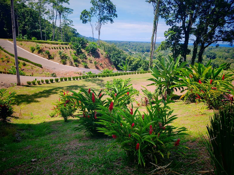 Land at Cahuita