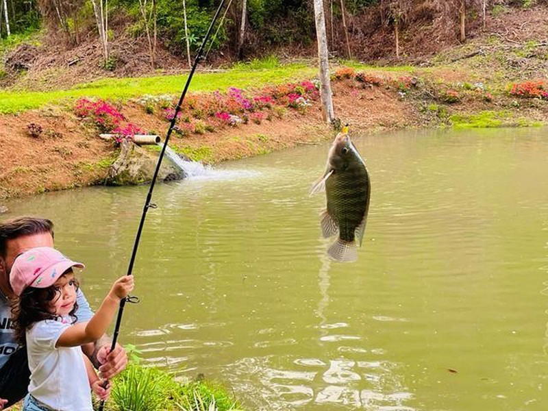 Terreno en San Isidro del General