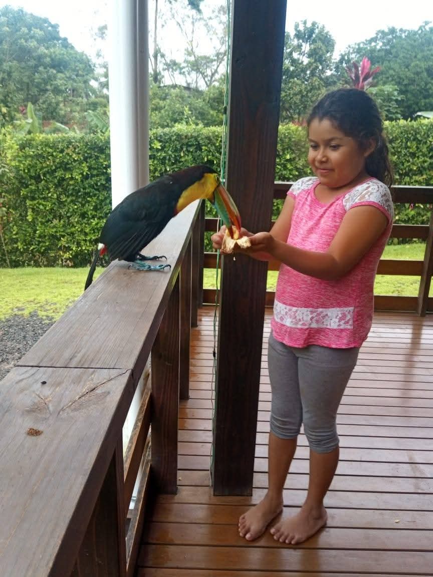 Land at Horquetas