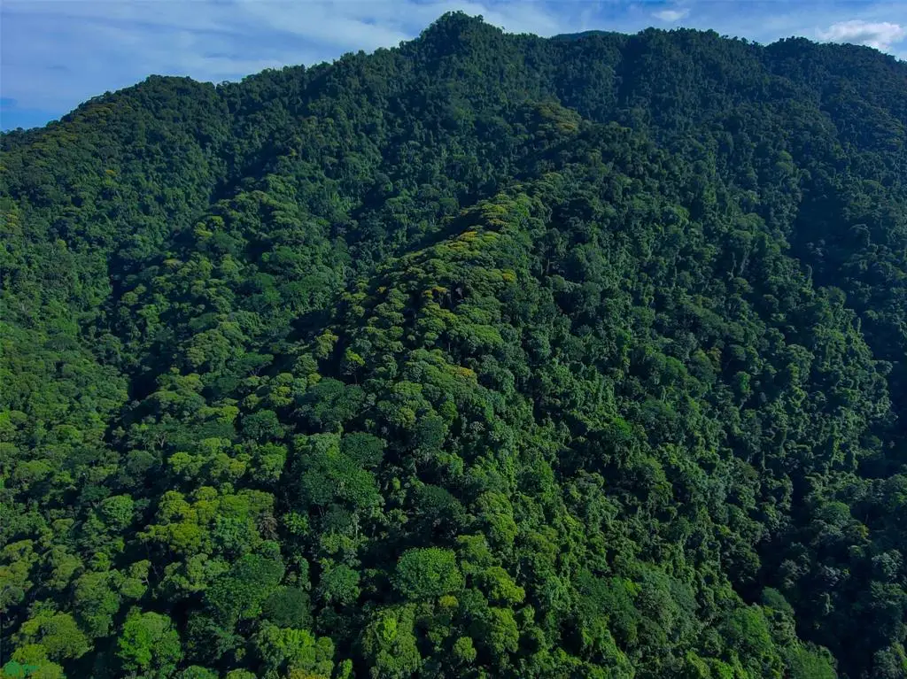 Land at Quepos
