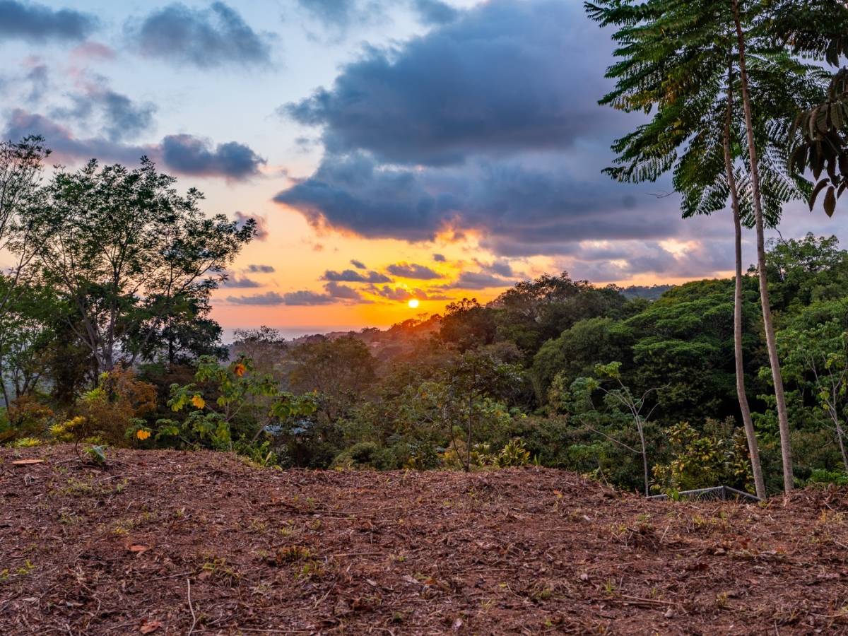 Propiedad en Ojochal