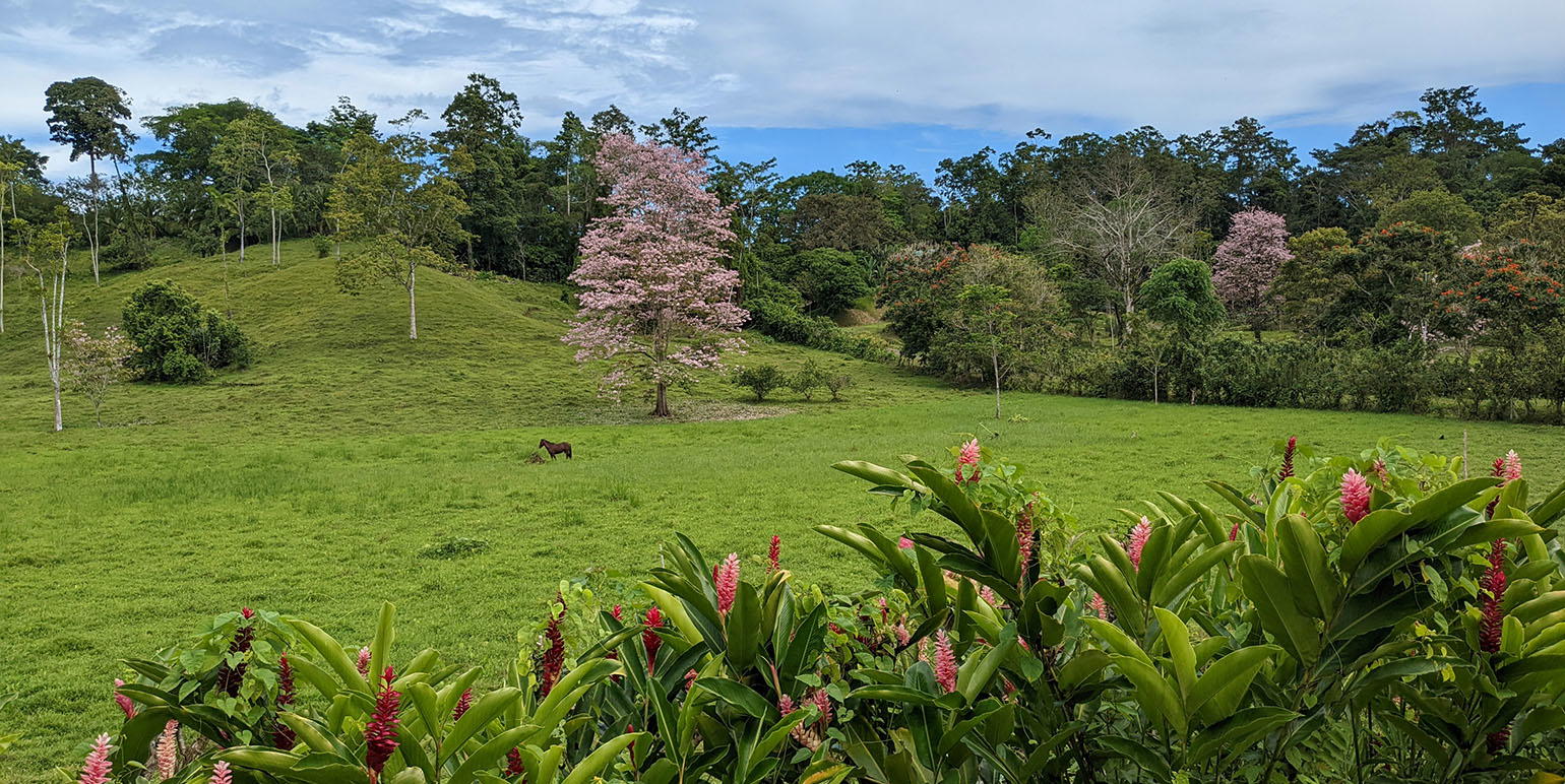 Propiedad en Bio Caribe