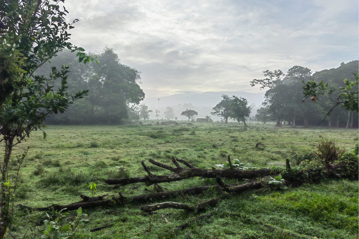 Finca en Puerto Viejo
