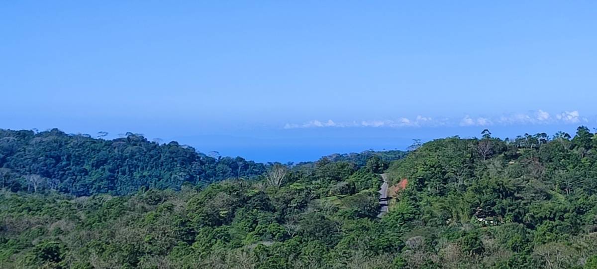 Propiedad en Tarcolitos