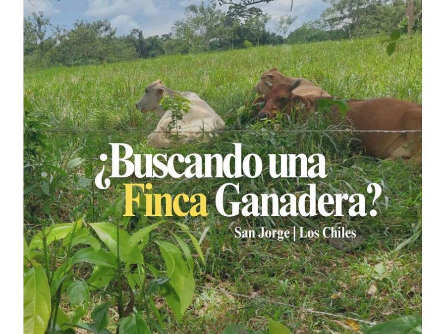 Finca en San Jorge