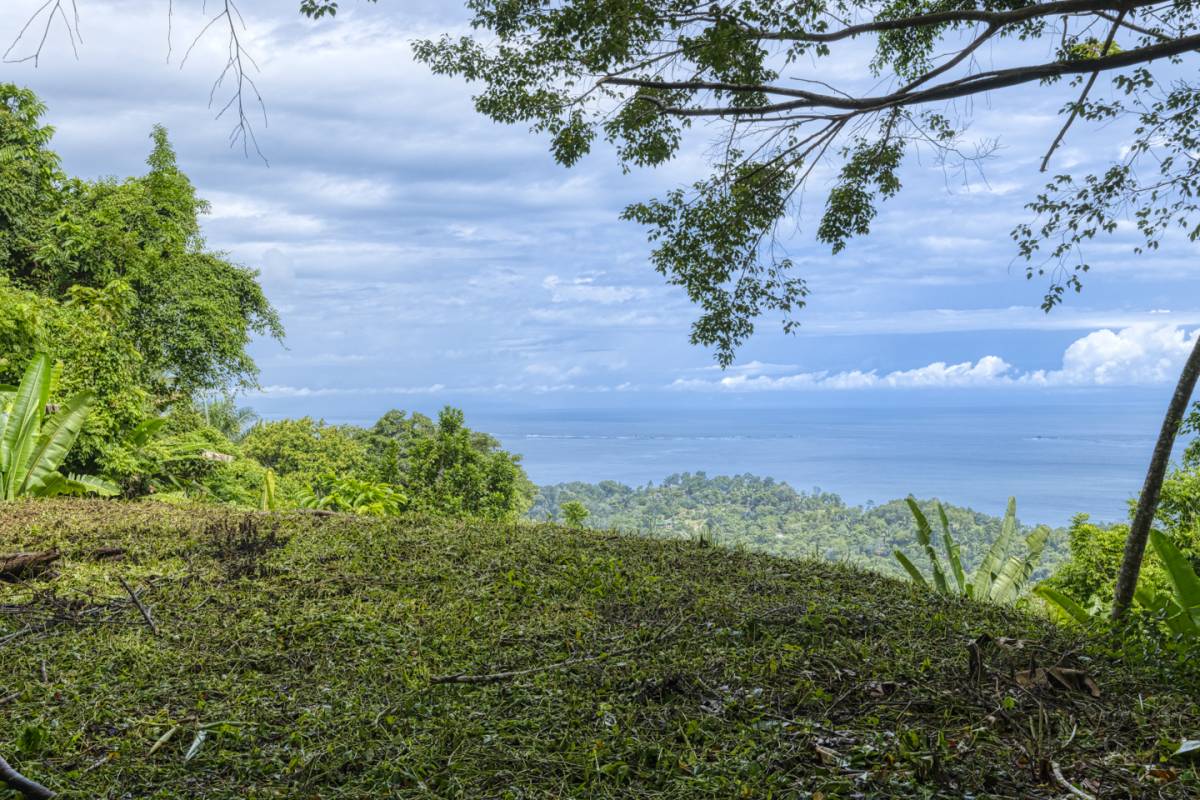 Propiedad en Uvita