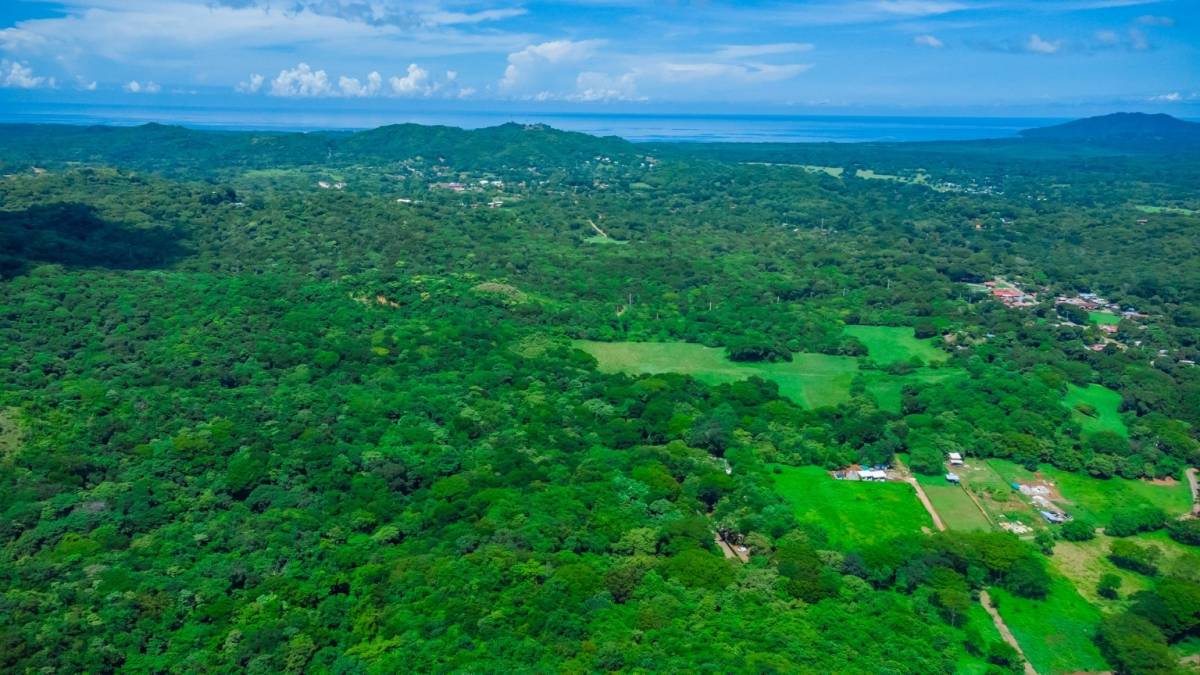 Property at Tamarindo