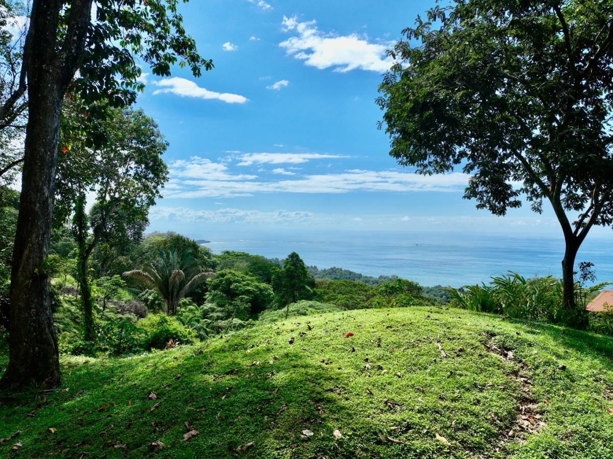 Finca en Uvita