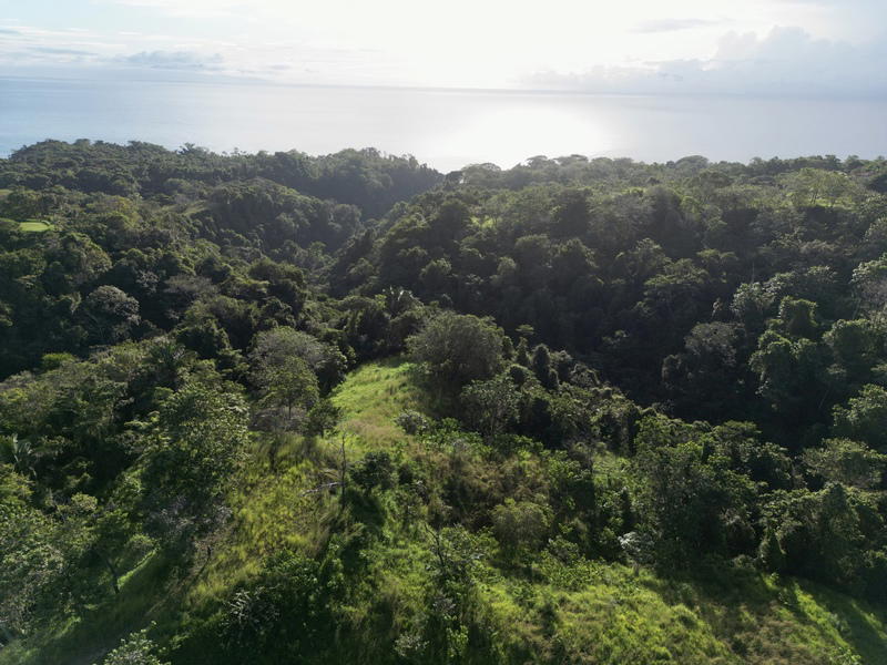 Terreno en Cóbano