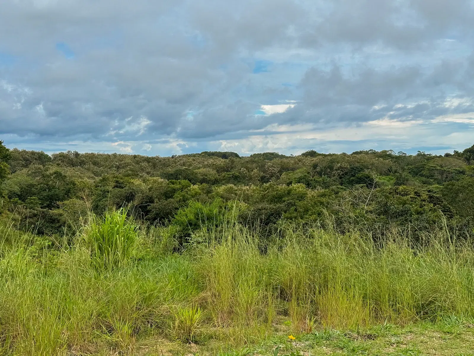 Land at Cóbano