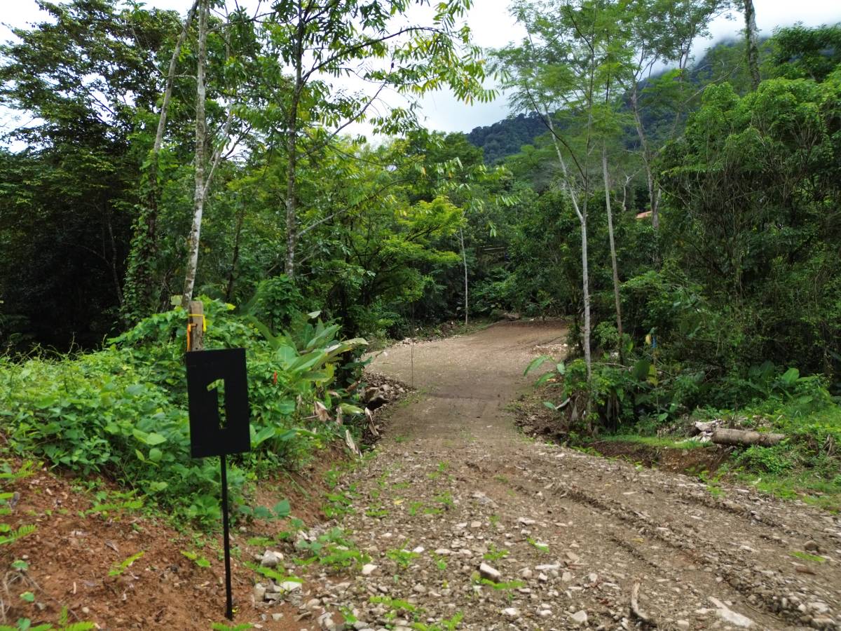 Propiedad en Ojochal