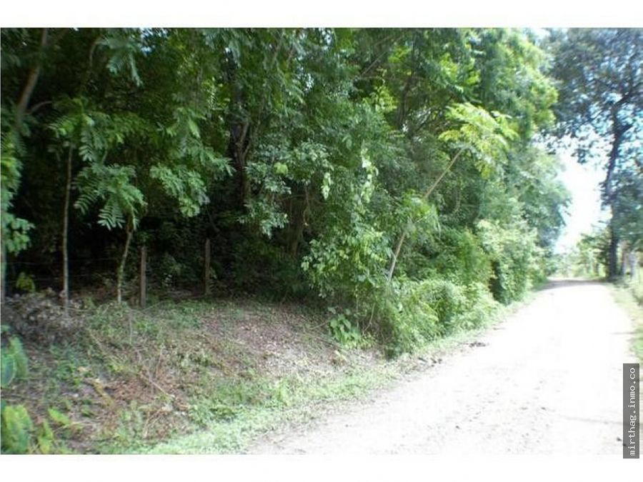 Land at Nicoya