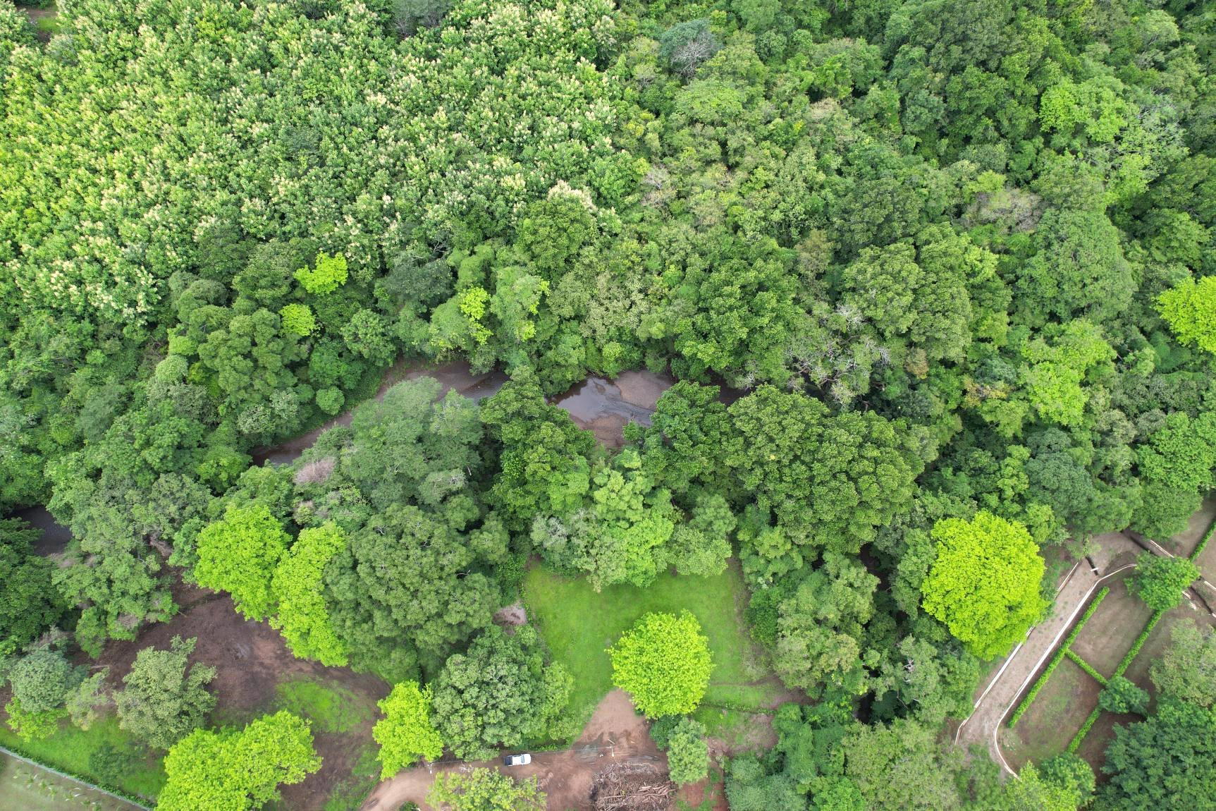 Terreno en Tamarindo