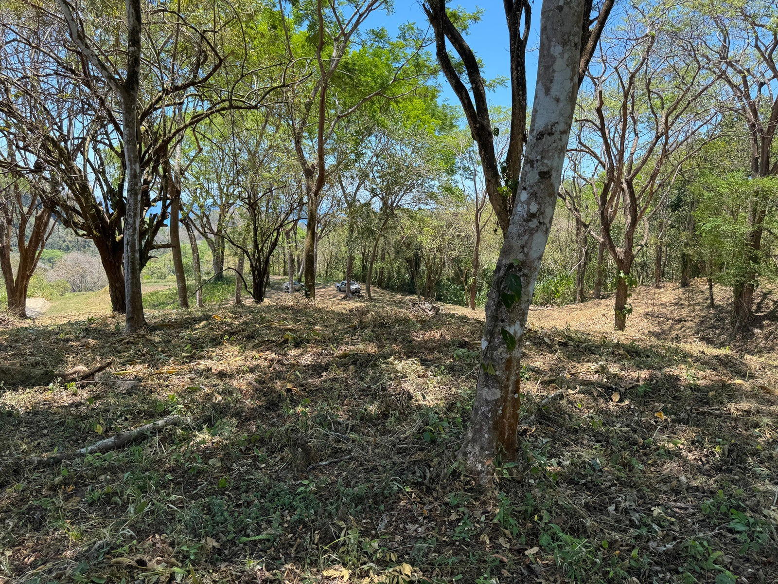 Terreno en Cóbano