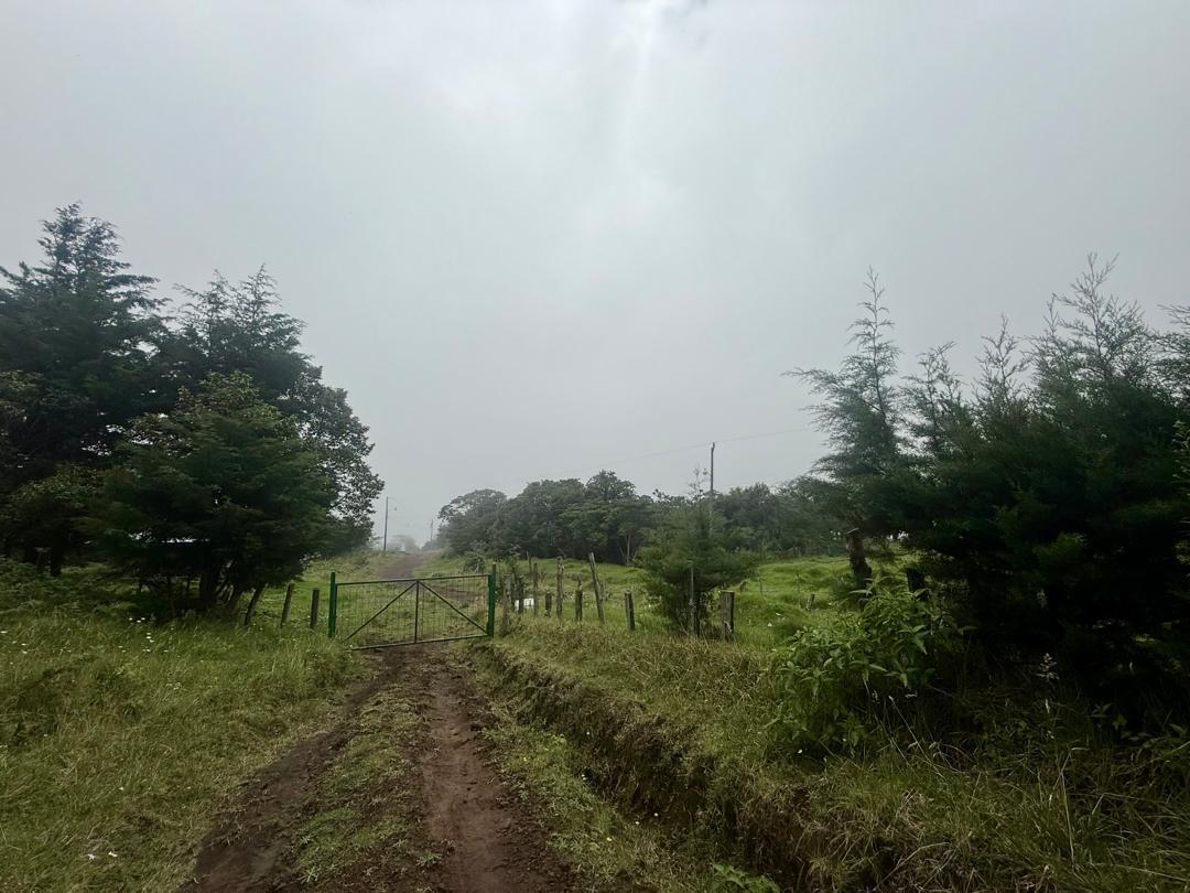 Property at Santo Domingo