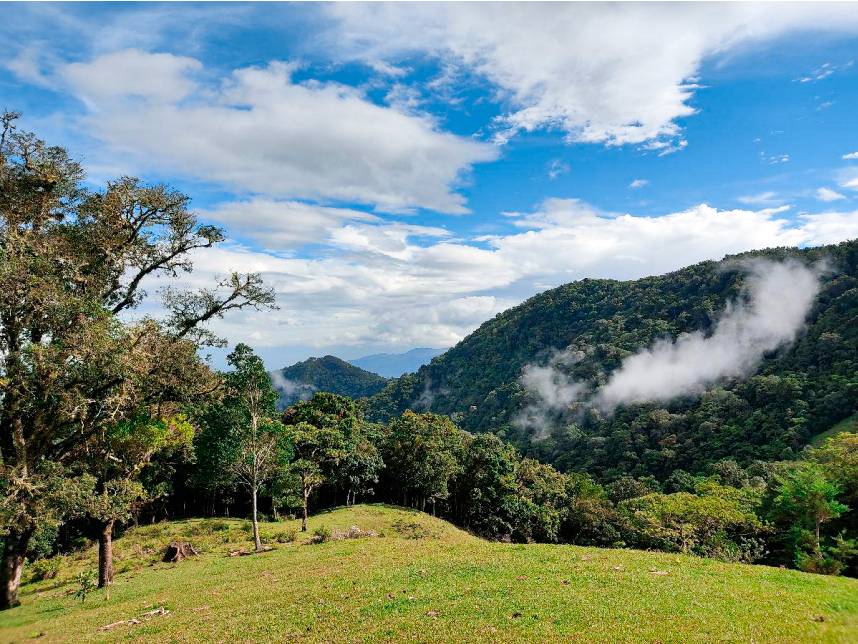 Propiedad en Cangrejal