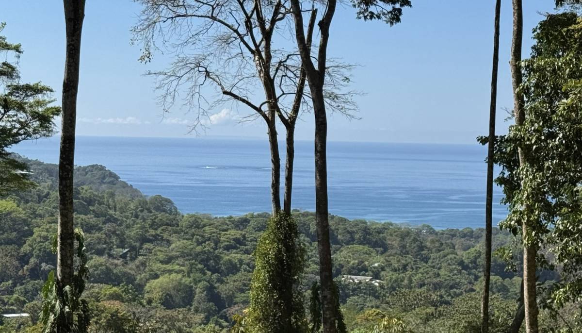 Propiedad en Uvita