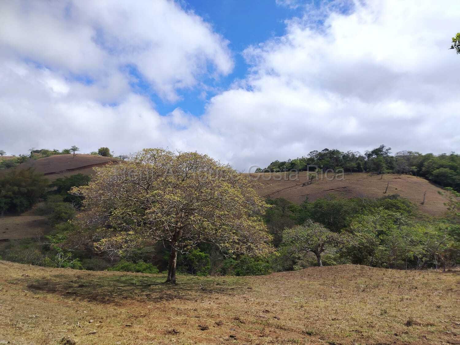 Propiedad en Piedades Sur