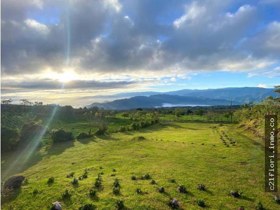 Property at Oriental