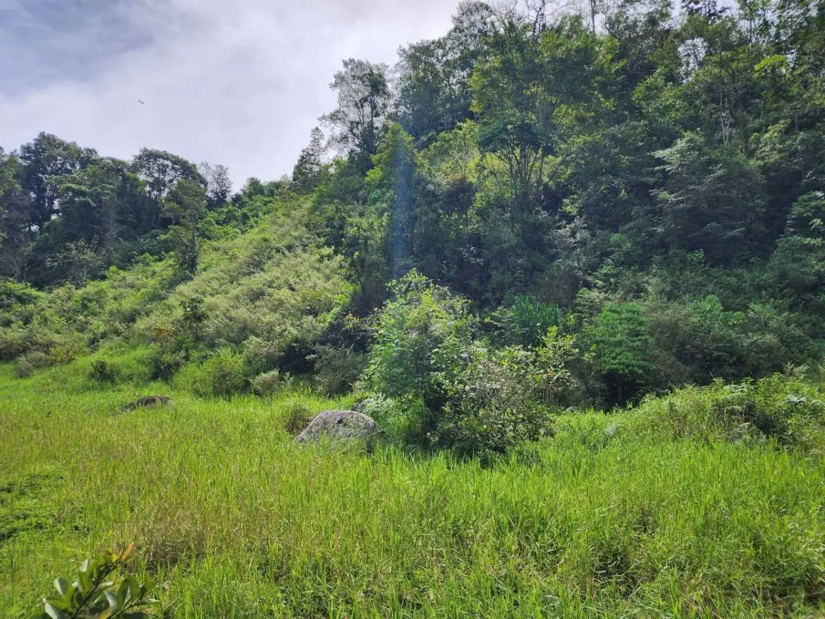 Land at San Isidro del General