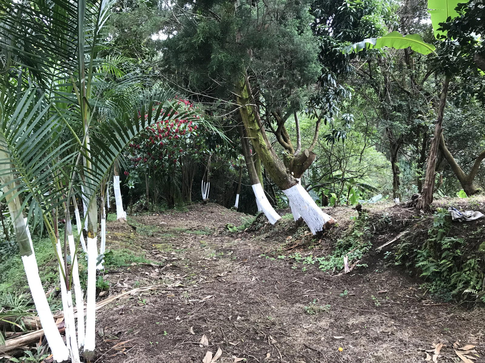 Finca en Bolívar