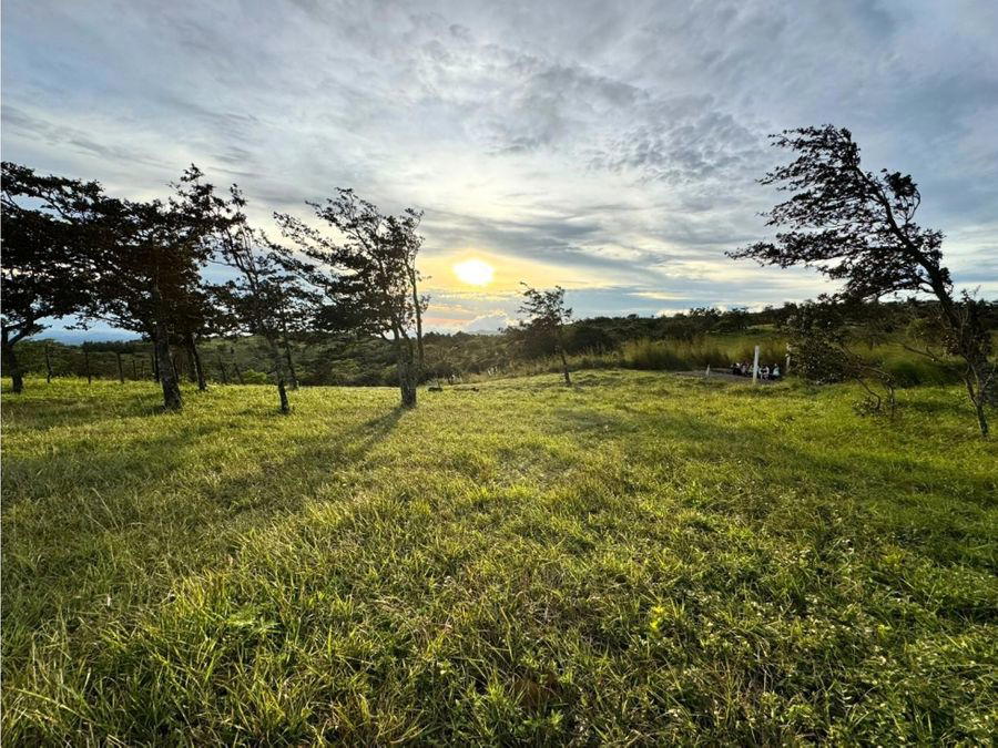 Land at Piedades Sur