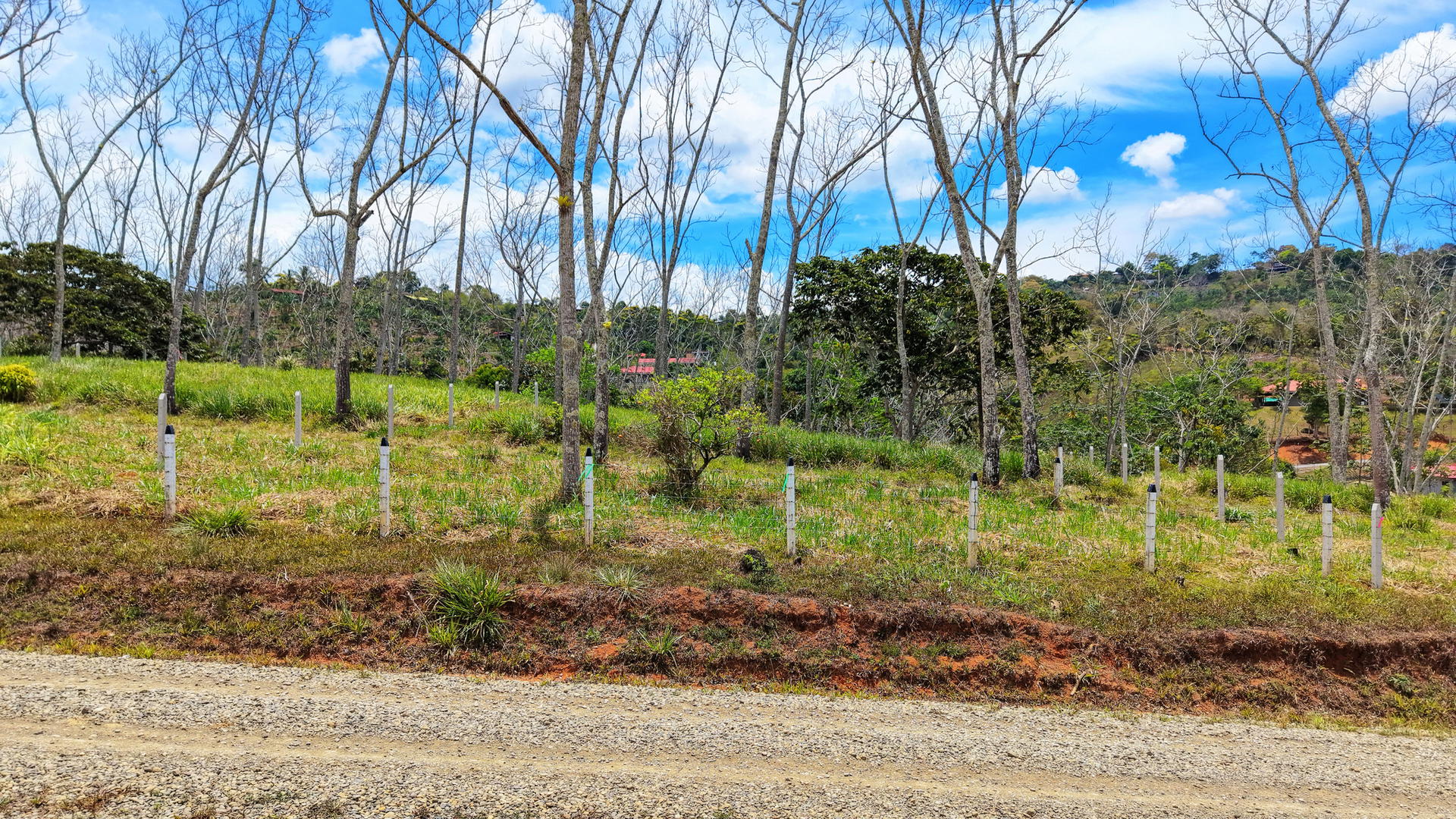 Terreno en San Isidro del General
