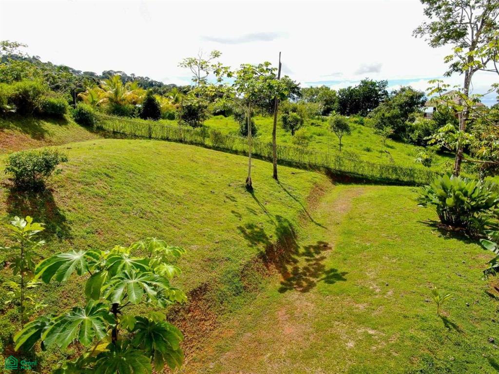Land at Bahía Ballena