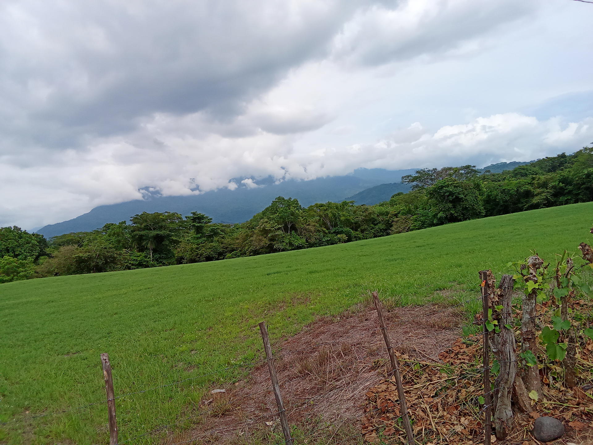 Land at Coyolar