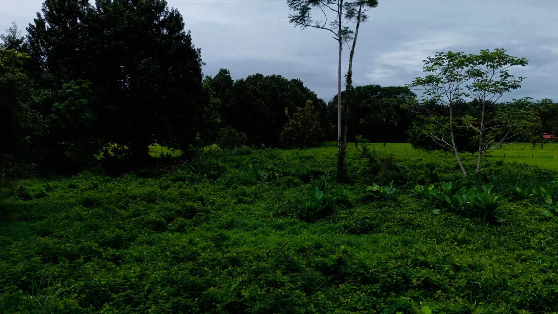 Comercial en Bahía Ballena
