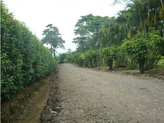 Finca en La Virgen