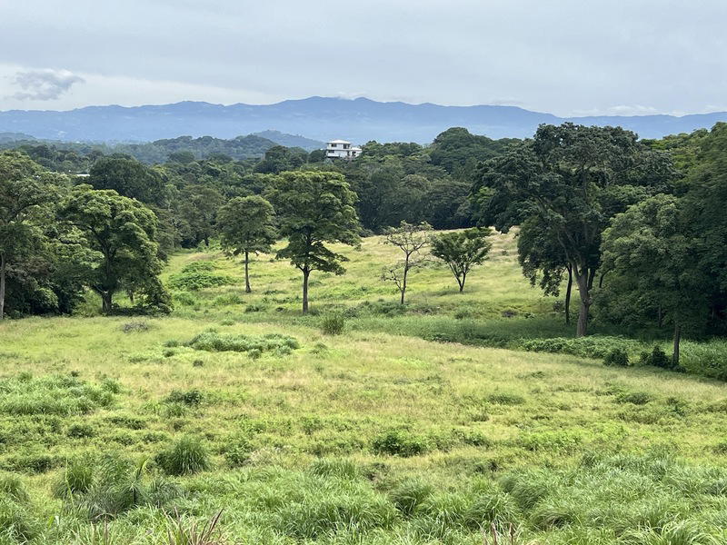 Terreno en La Garita
