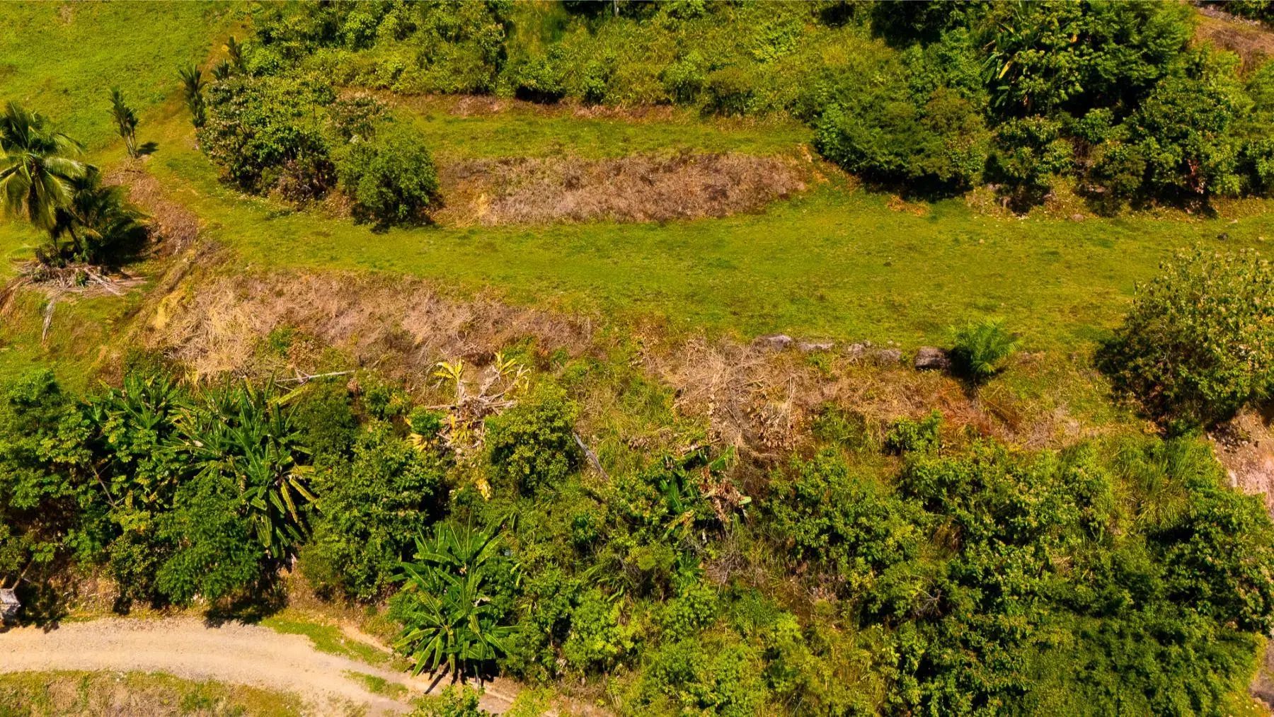 Land at Puerto Cortés