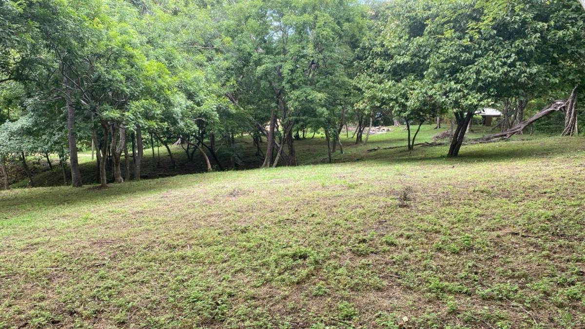 Property at Tamarindo