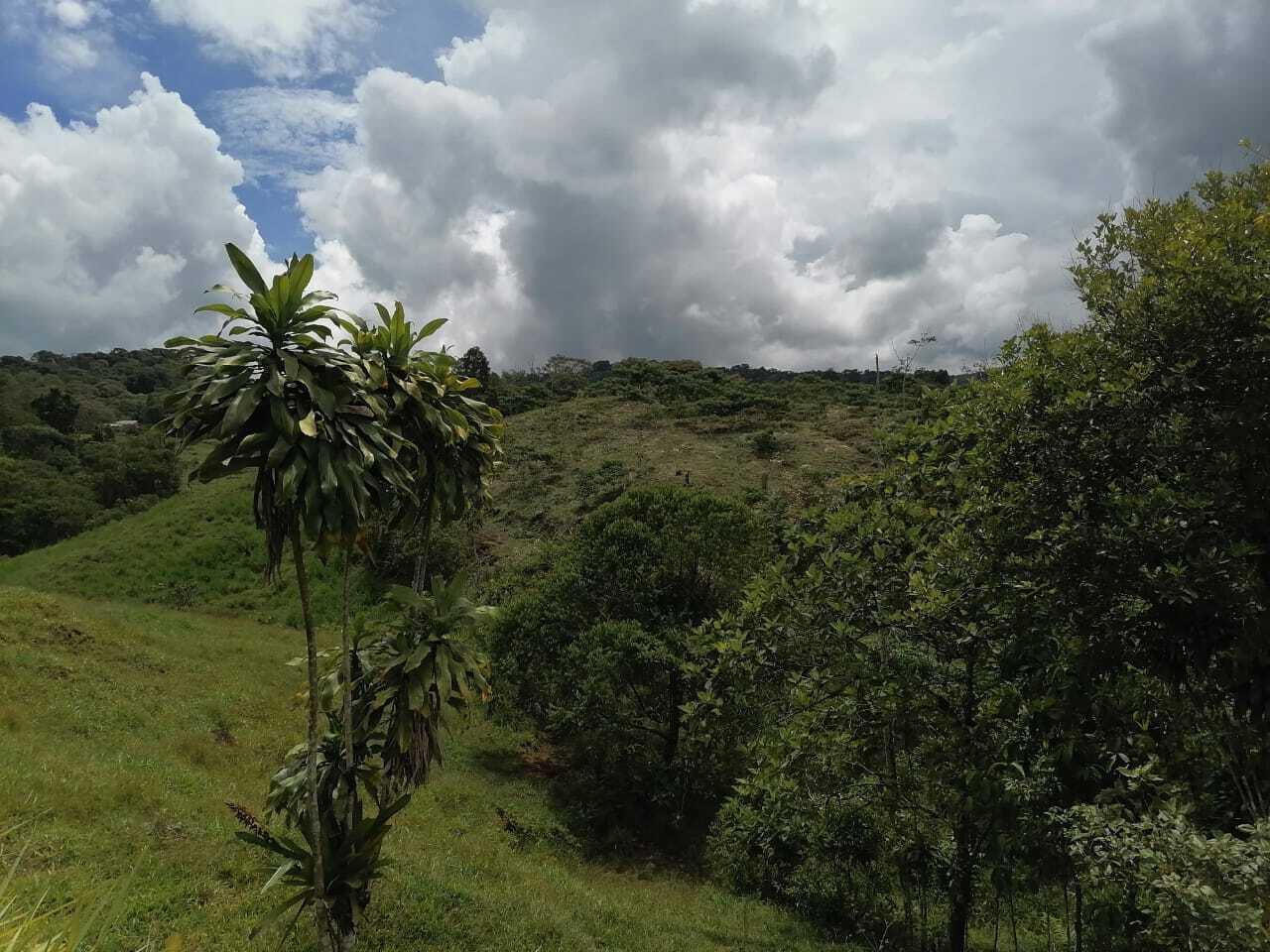 Propiedad en El General