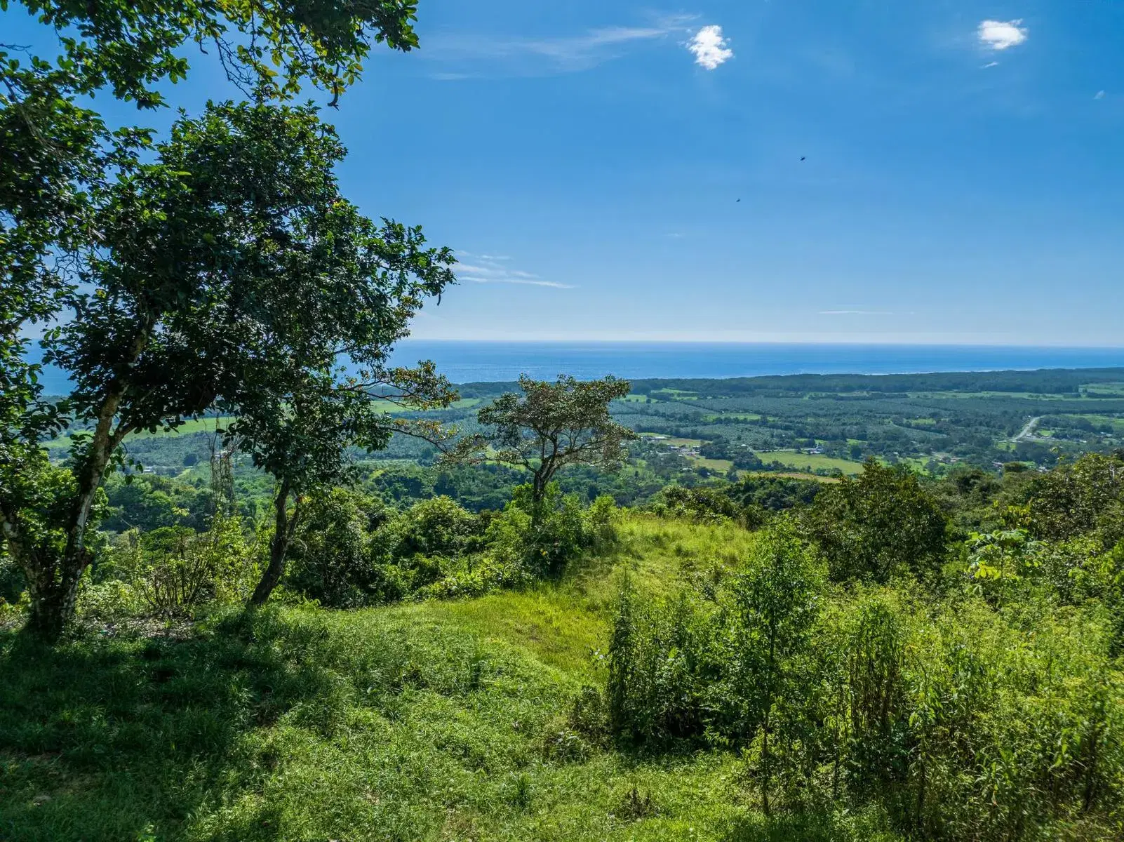 Land at Quepos