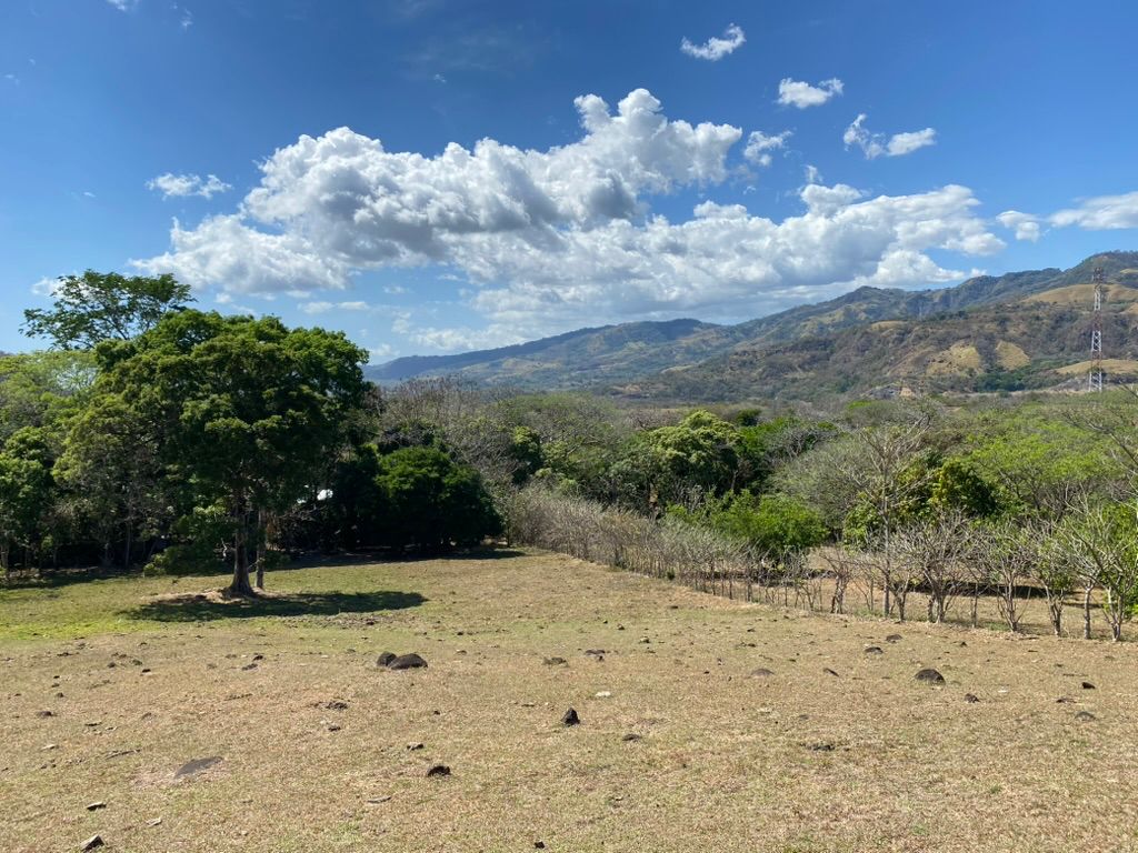 Land at Picagres